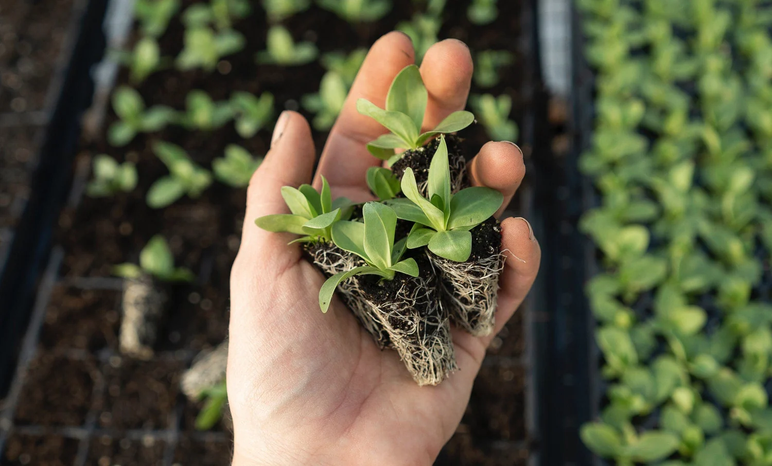 Welcome to Our Store